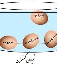 تشخیص تخم مرغ خراب