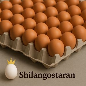 تخم مرغ فله