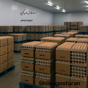 پخش عمده تخم مرغ
