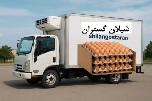 حمل ایمن تخم مرغ فله