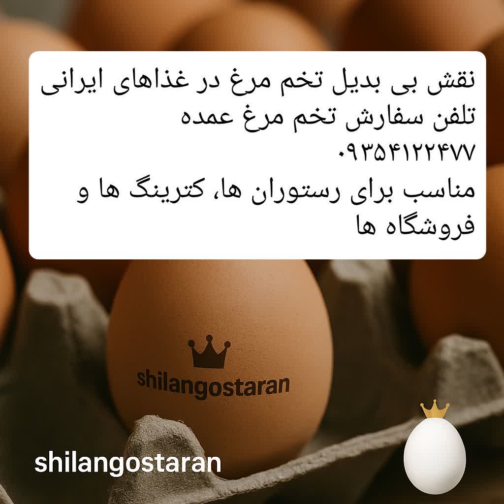 تخم مرغ