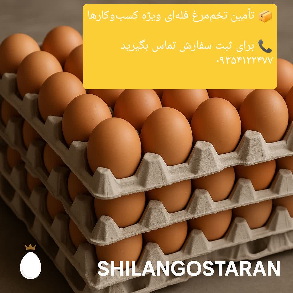 تخم مرغ فله