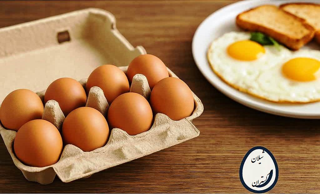 فروش بیشتر تخم مرغ