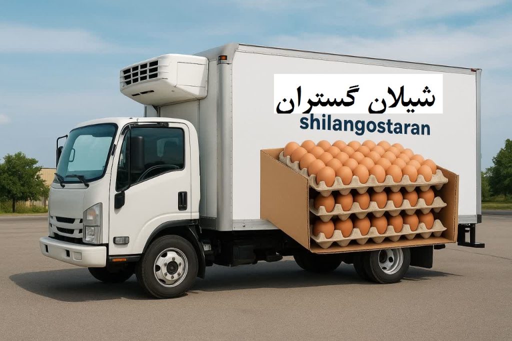 حمل ایمن تخم مرغ فله