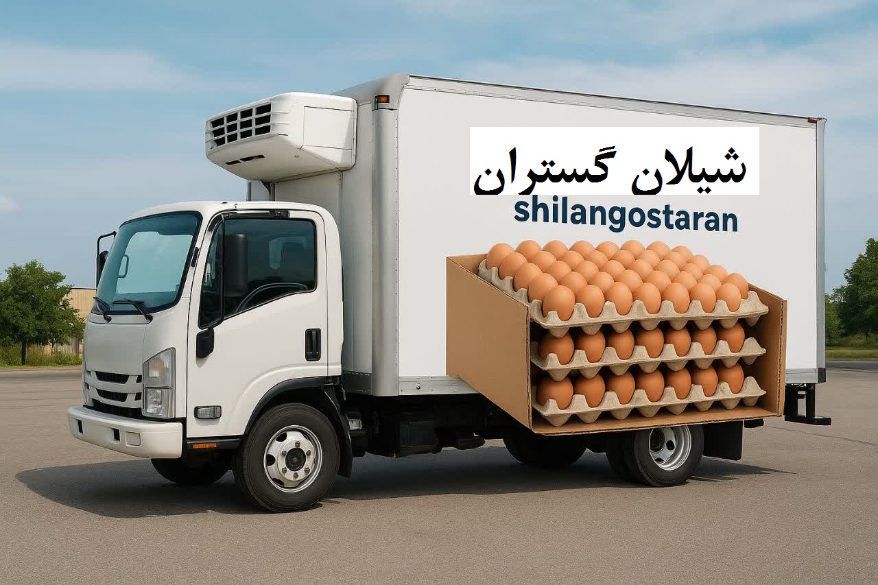 حمل ایمن تخم مرغ فله