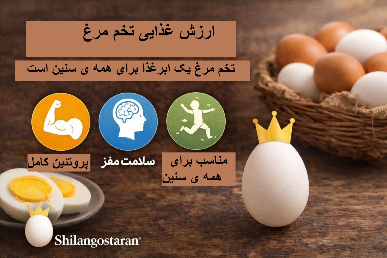 ارزش غذایی تخم مرغ